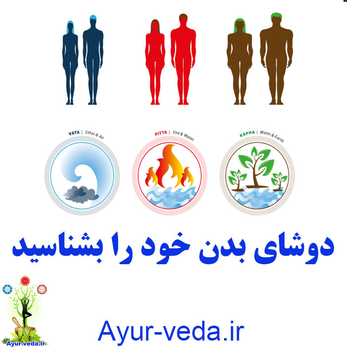 Know your body dosha دوشای بدن خود را بشناسید