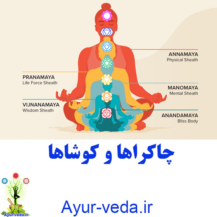 chakras koshas چاکراها و کوشاها