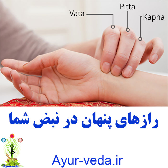 pulse in ayurveda رازهای پنهان در نبض شما