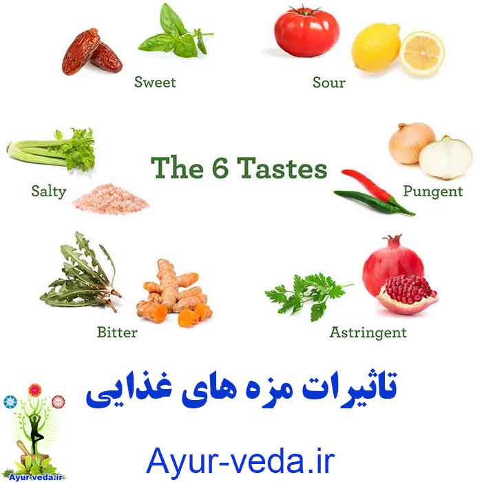 The impact of the taste of food - تاثیرات مزه های غذایی