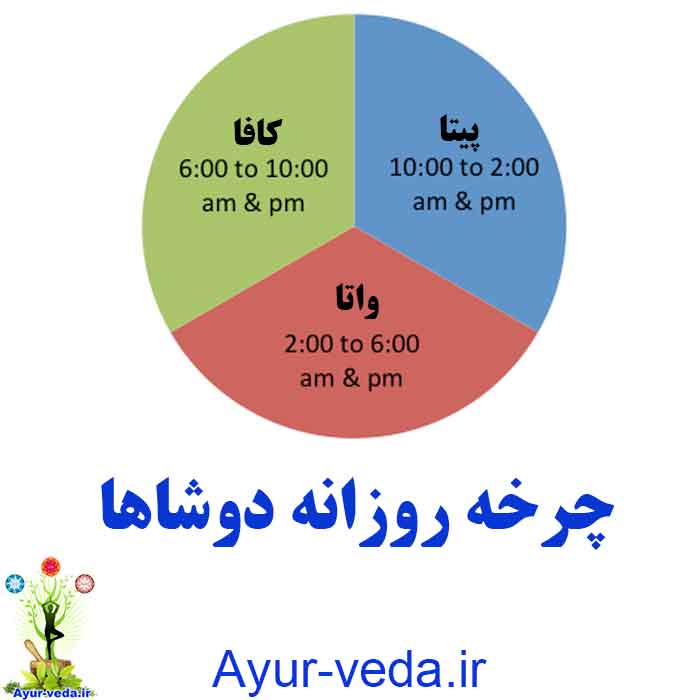 dosha daily cycle - چرخه روزانه دوشاها