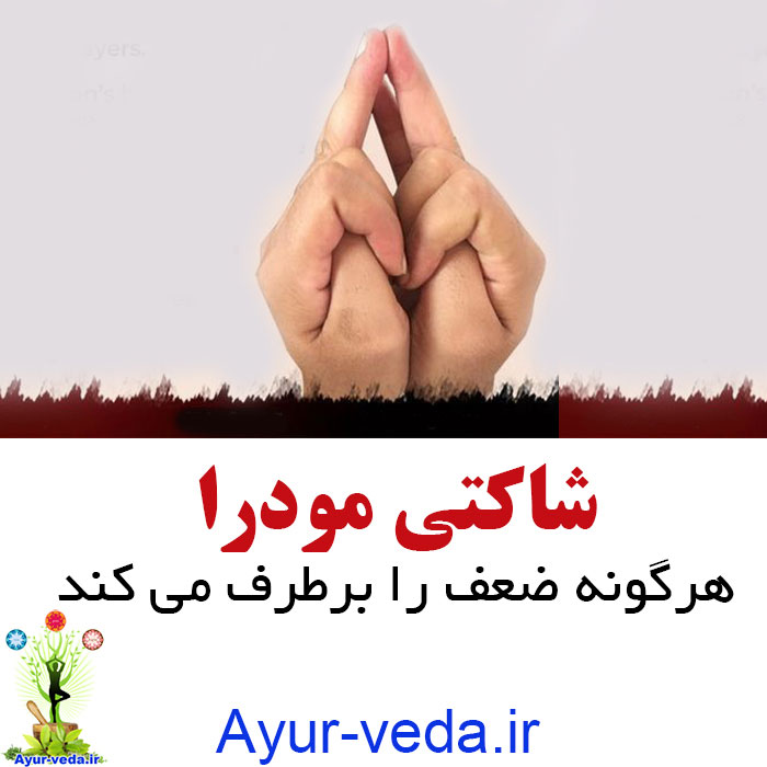 shakti mudra شاکتی مودرا