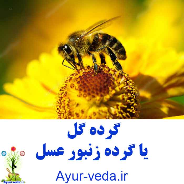 bee pollen - گرده گل - گرده زنبور عسل