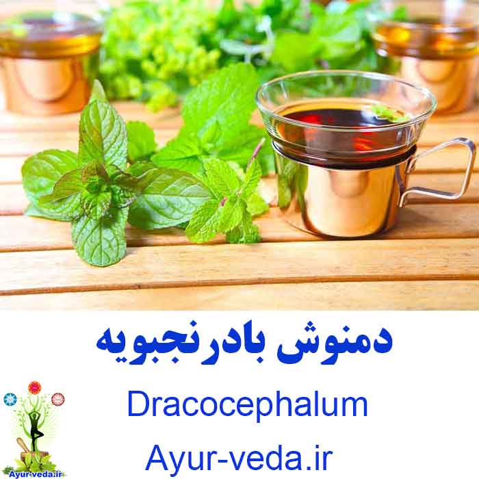 Dracocephalum herbal tea - دمنوش بادرنجبویه