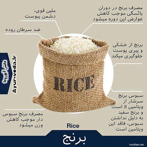 خواص برنج همراه با شلتوک